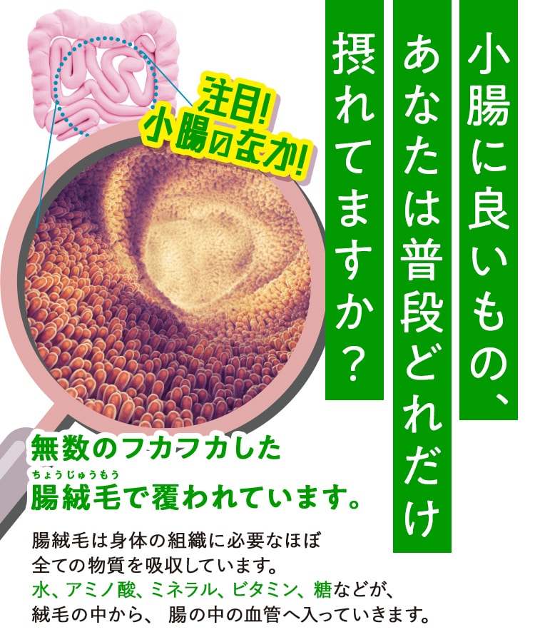 LAVA BRM 乳酸菌サプリ 2箱 ヨギフフルーツミックス味 おまけ付き LAVA