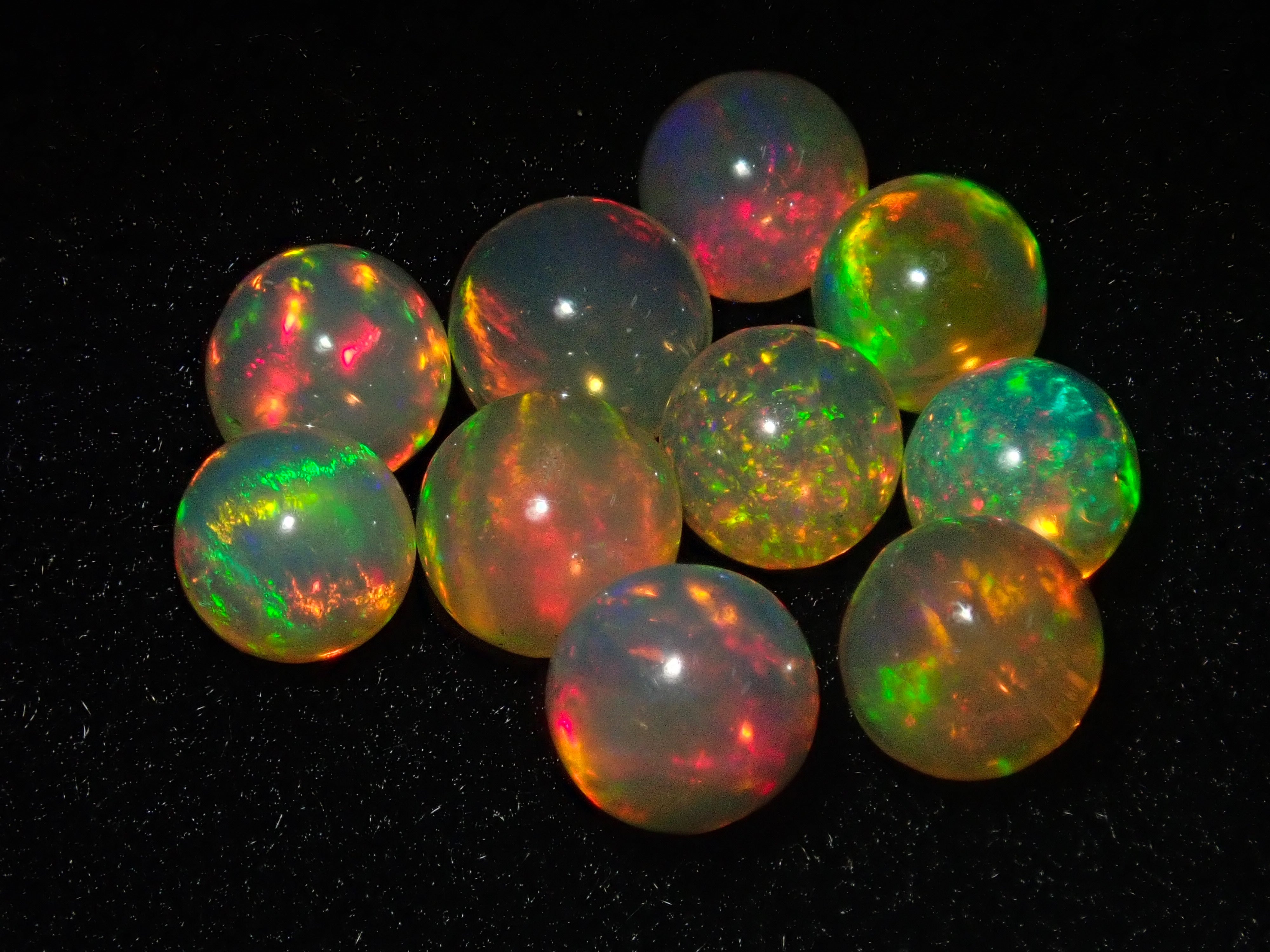 P5160442.jpg?crop=center&