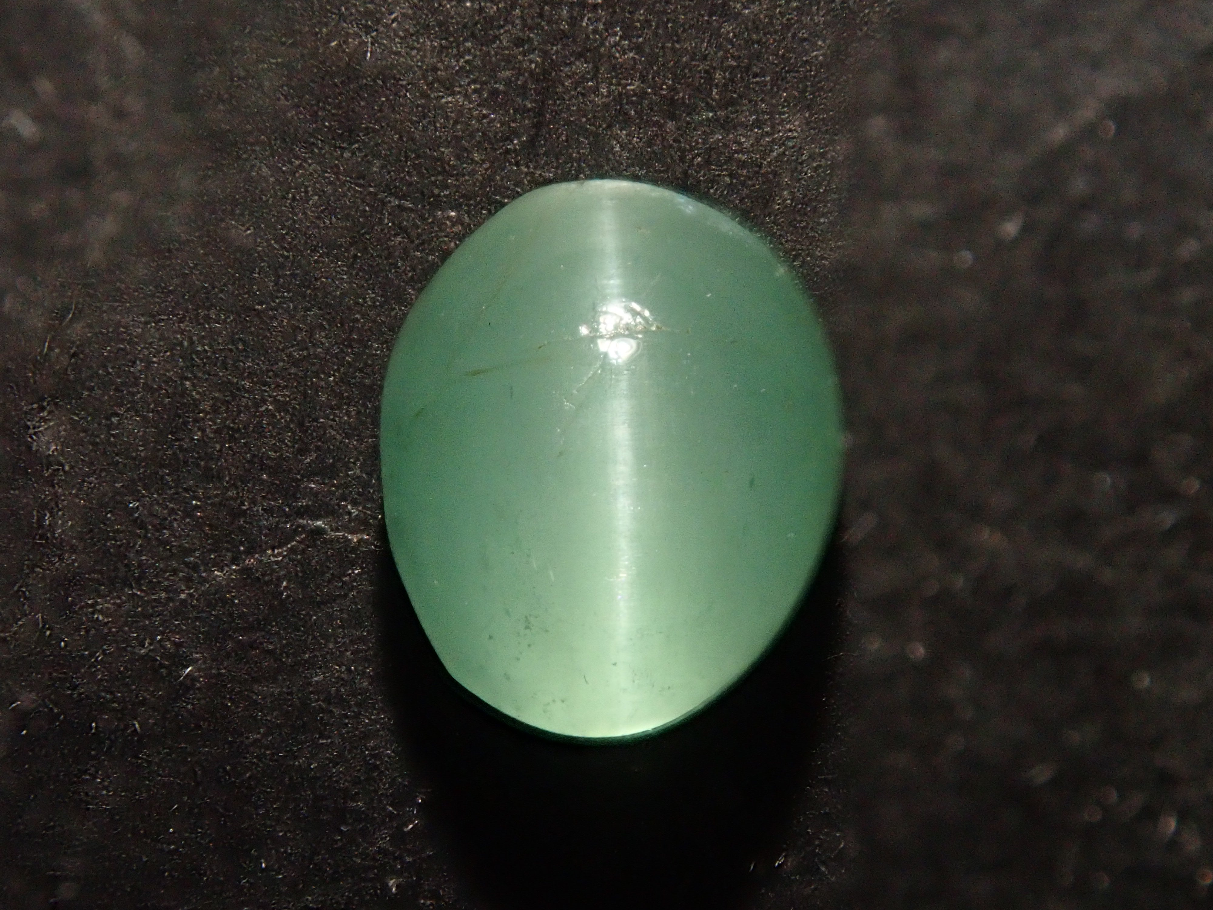 P5174813.jpg?v=1753309393&