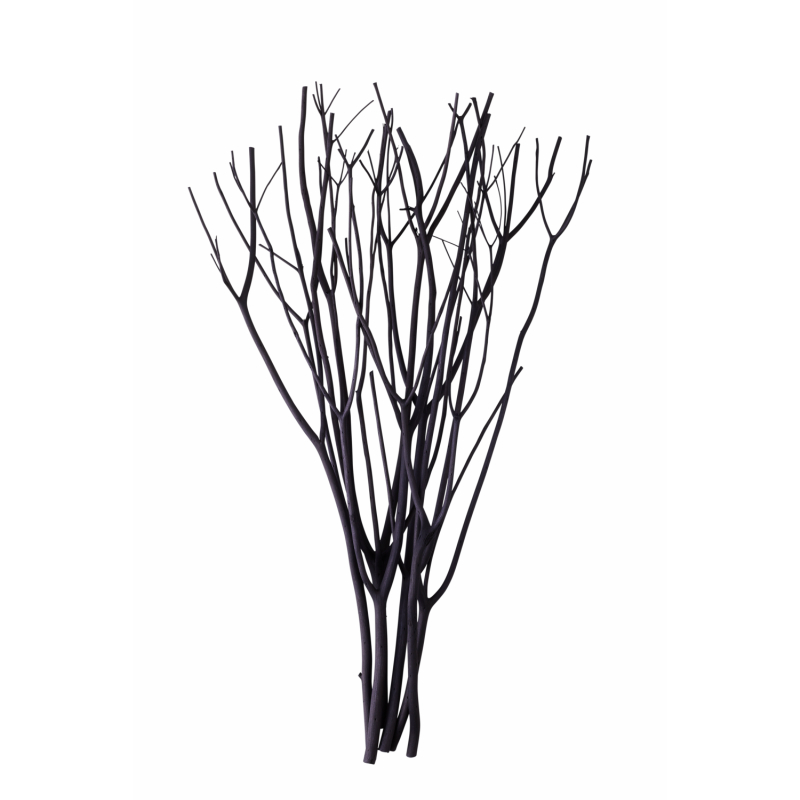 アロマブランチ 〔ブランチ〕 国産ブラックの通販｜CAT_PRO｜アット