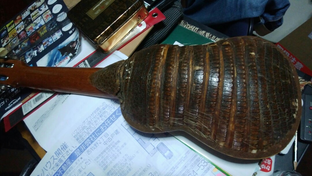 珍品？チャランゴ(アルマジロ) | cheap-guitar-kingのブログ