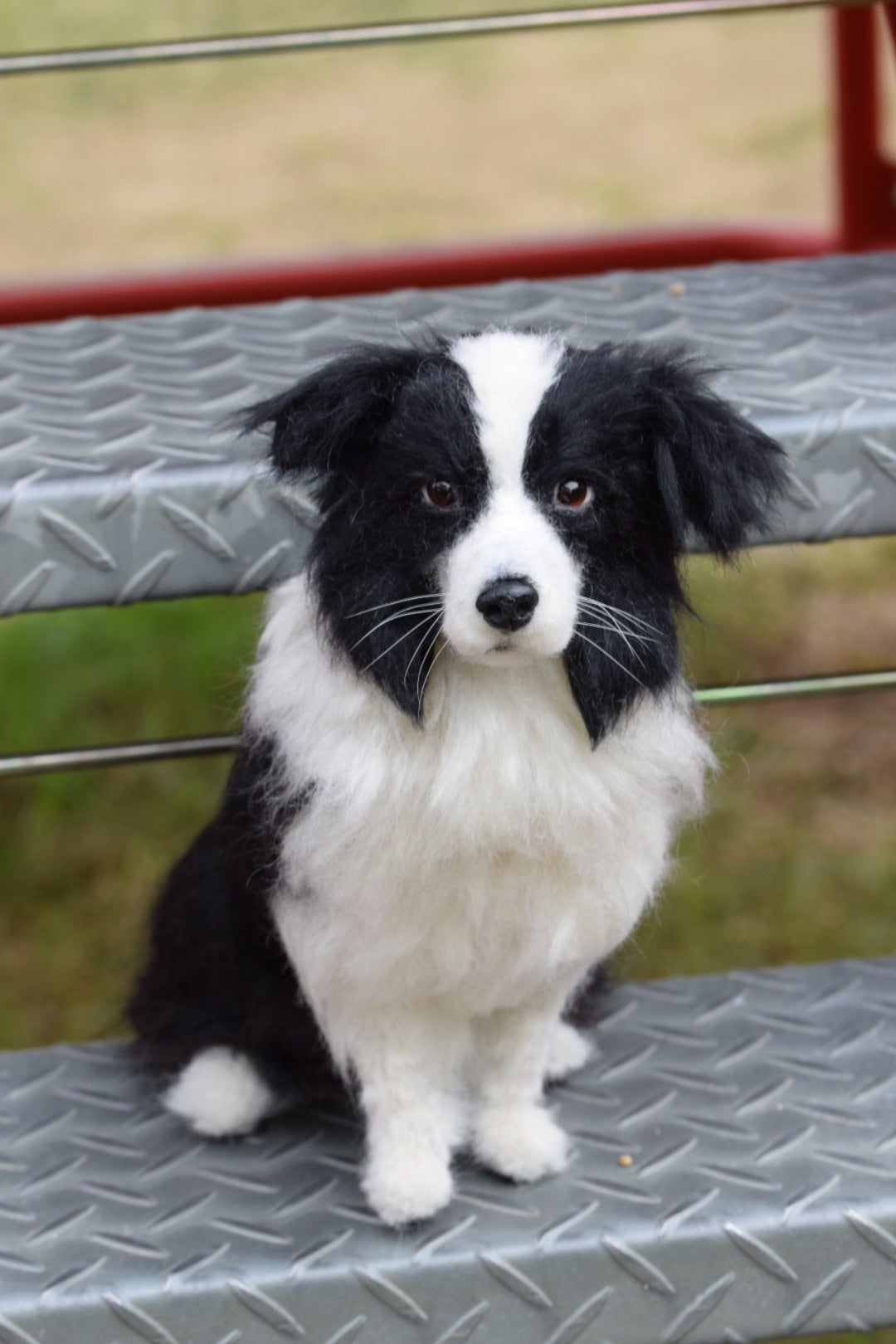 ボーダーコリーのりんちゃん（オーダー）完成です | リアルアニマル