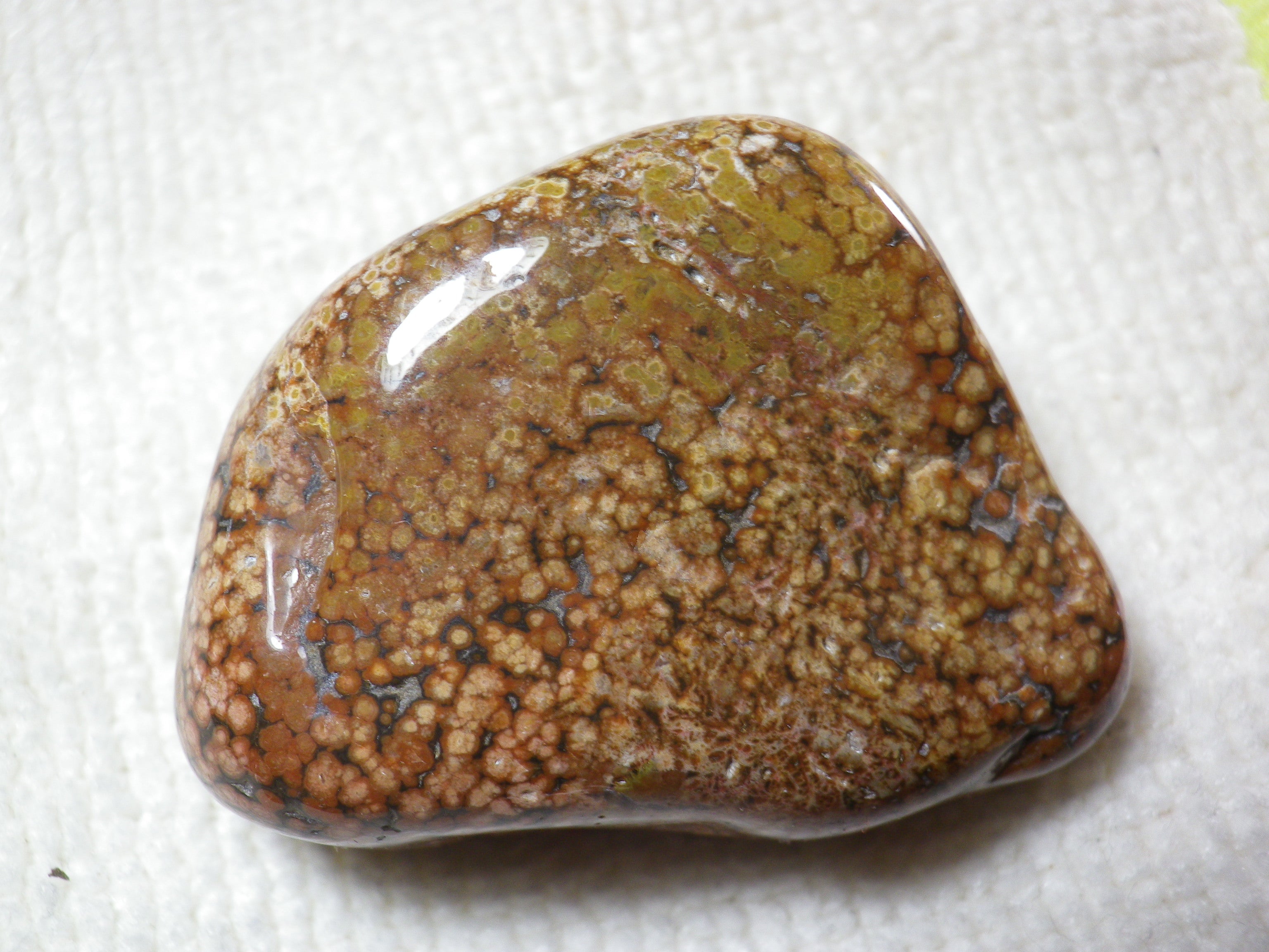 津軽錦石 鹿の子石研磨終了。 | おしま工房