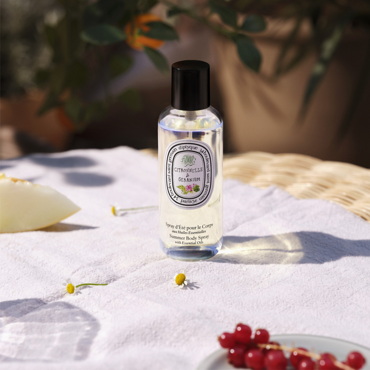 夏のお楽しみ！ 地中海にオマージュを捧げたディプティックの限定