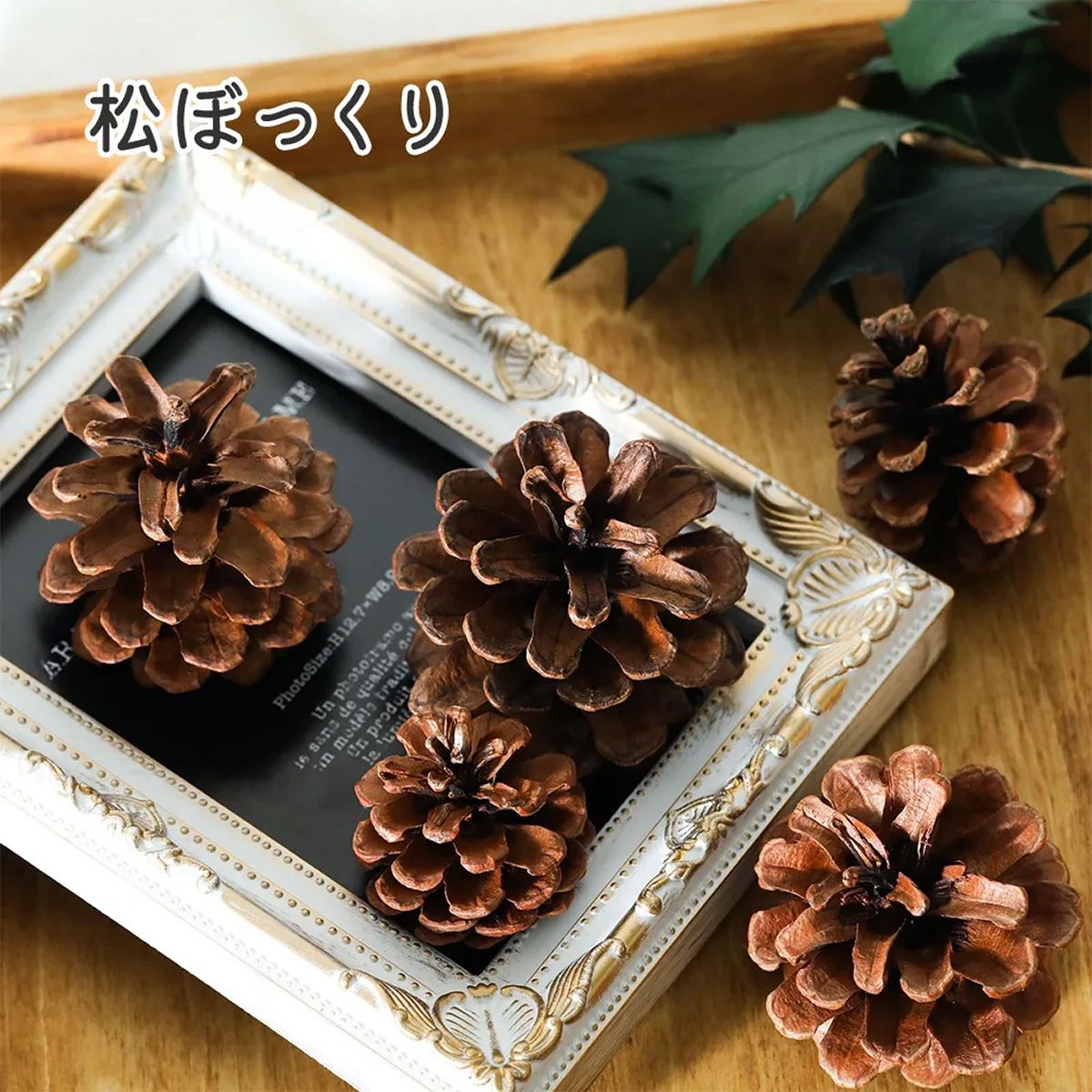 小分け】ドライフラワー 松かさ 松ぼっくり ナチュラル | クロッチャ