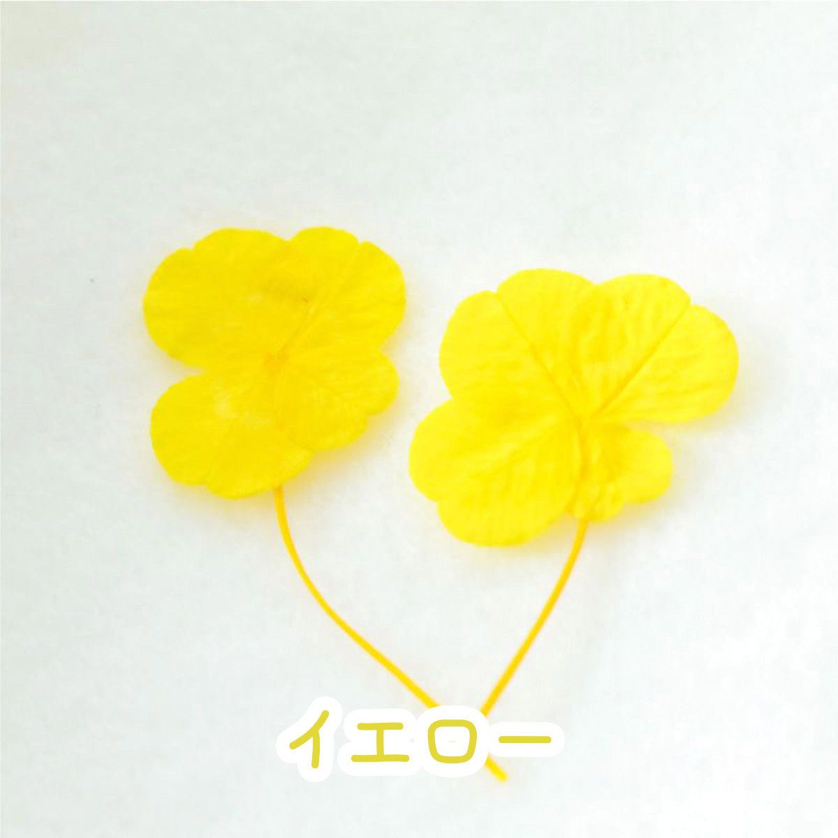 四つ葉 クローバー ドライフラワー 2枚入 4色 | クロッチャショップ