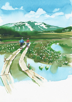 水芭蕉のある風景 水彩[20037008281]の写真・イラスト素材｜アマナ