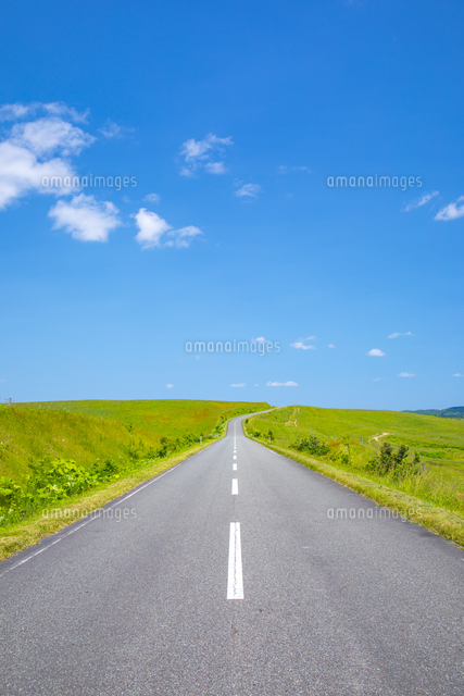 牧草地の道路[81623000189]の写真・イラスト素材｜アマナイメージズ