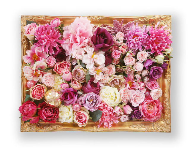 額縁の中に沢山の花[10169001707]の写真・イラスト素材｜アマナイメージズ