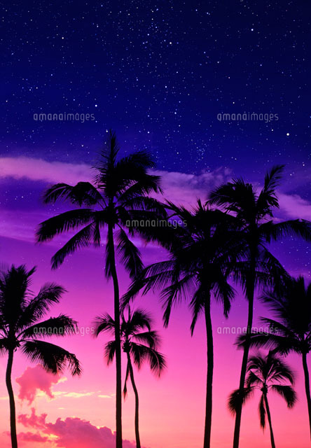 星空と夕焼けに椰子の木のシルエット[10285000809]の写真・イラスト