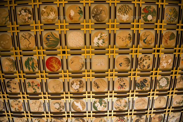永平寺 傘松閣 絵天井[10222009184]の写真・イラスト素材｜アマナ