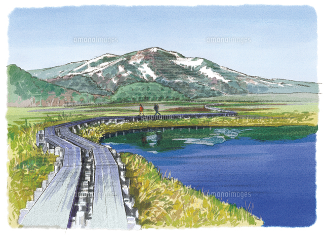 新緑の息吹を感じる尾瀬ヶ原[10790019830]の写真・イラスト素材