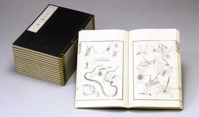 200年前の江戸の技術に挑む! 手摺木版本「北斎漫画」の再版を実現させ