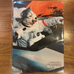 m11711803794_1.jpg?1735269756