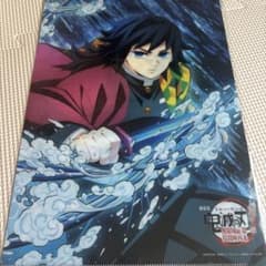 鬼滅の刃 無限城編 冨岡義勇 胡蝶しのぶ アニメ絵柄 両面A4クリア