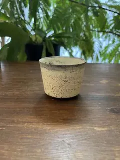 2026年最新】大澤哲哉の人気アイテム - メルカリ