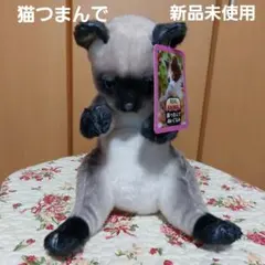 2026年最新】リアルアニマル猫つまんでマスコットBCの人気アイテム