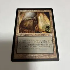 2026年最新】陰謀団の貴重品室の人気アイテム - メルカリ