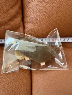 2026年最新】ヒミズモグラの人気アイテム - メルカリ