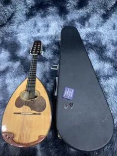 2026年最新】マンドリン M-30の人気アイテム - メルカリ