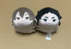 2026年最新】赤葦 もちマスの人気アイテム - メルカリ