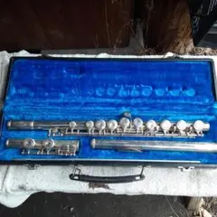 2026年最新】スプレンダー フルートの人気アイテム - メルカリ