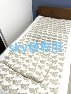 2026年最新】ホルミーシーツ グラントイーワンズの人気アイテム - メルカリ