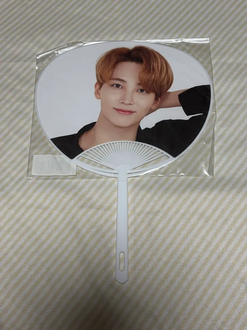 m40605432825_1.jpg?1771150197