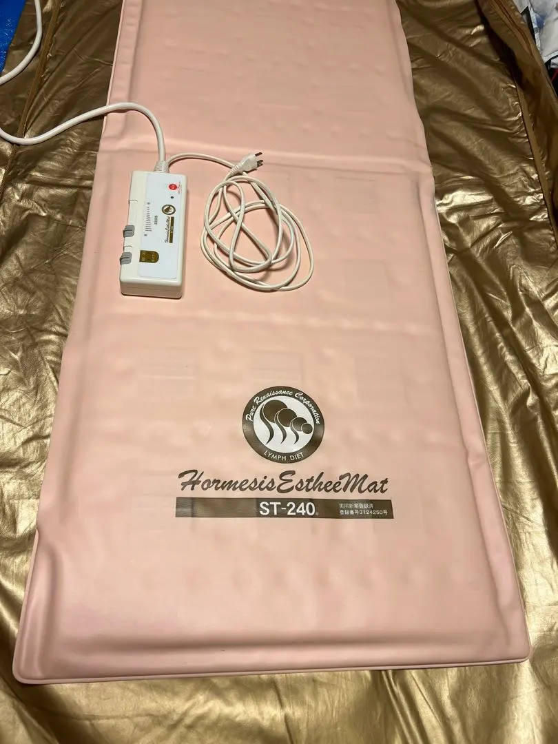 2026年最新】ホルミシスマットの人気アイテム - メルカリ