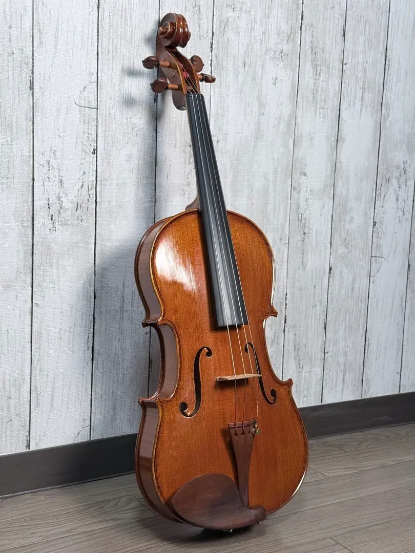 2026年最新】バイオリン GLIGAの人気アイテム - メルカリ