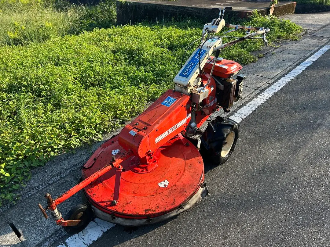 2026年最新】牧草モアの人気アイテム - メルカリ