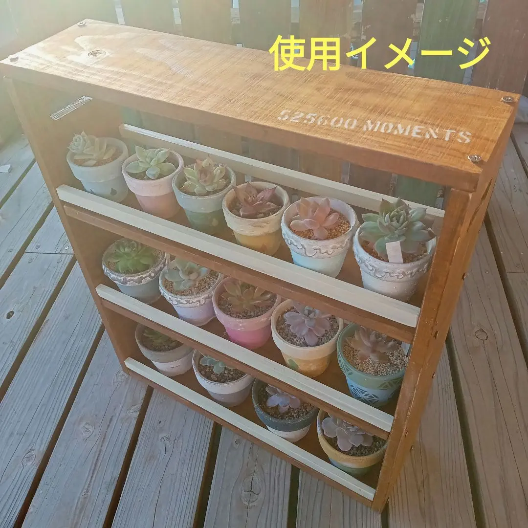 2026年最新】多肉棚 屋根の人気アイテム - メルカリ