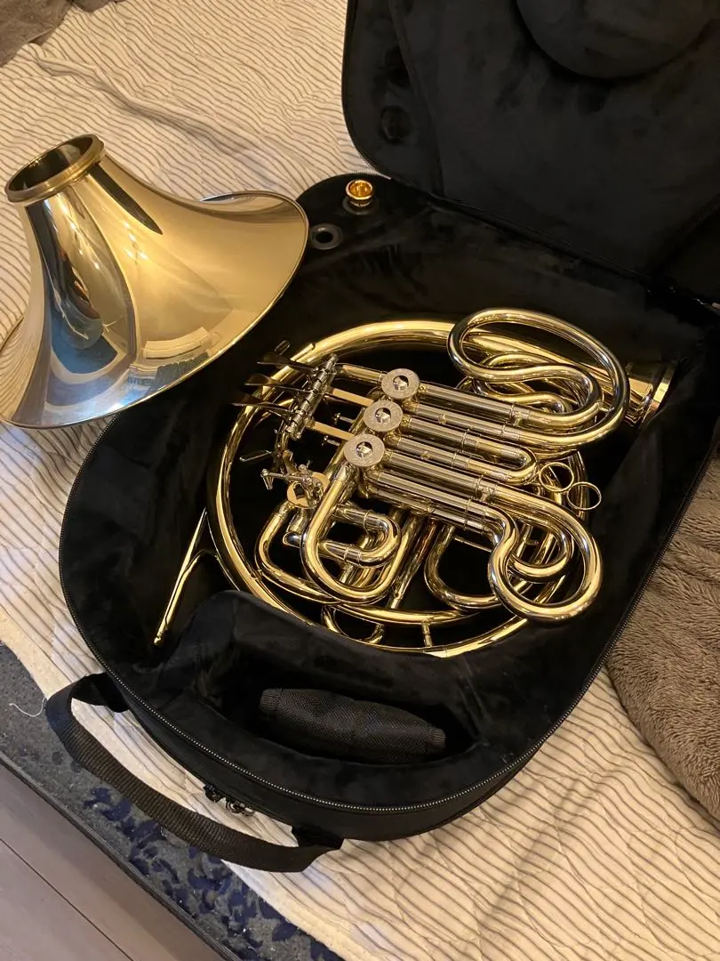 2026年最新】ホルン ケース アレキサンダーの人気アイテム - メルカリ