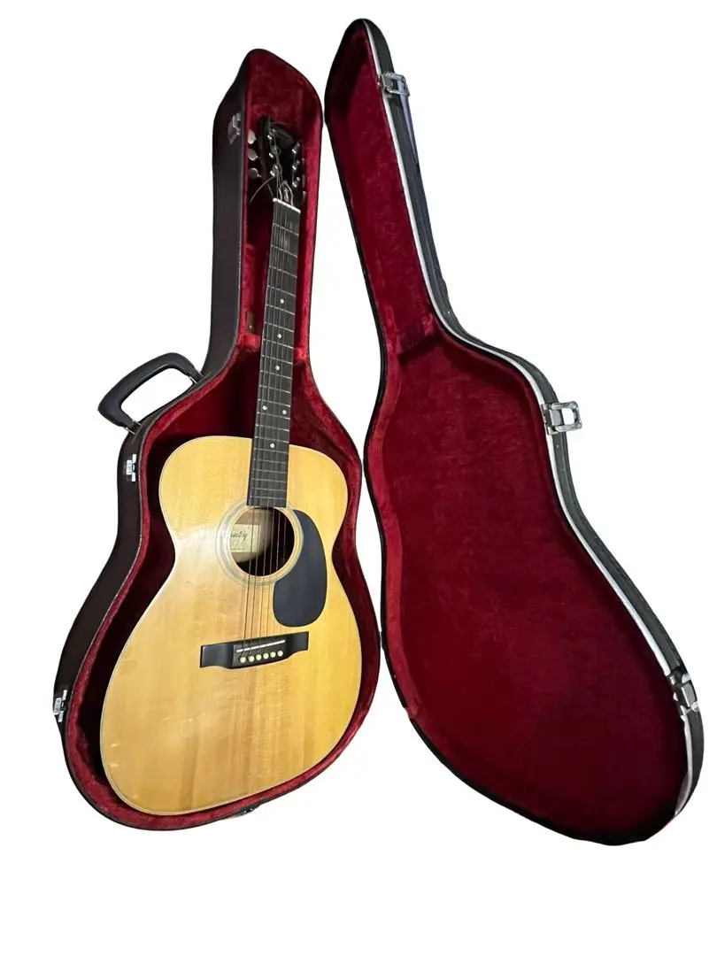 2026年最新】k.country ギターの人気アイテム - メルカリ