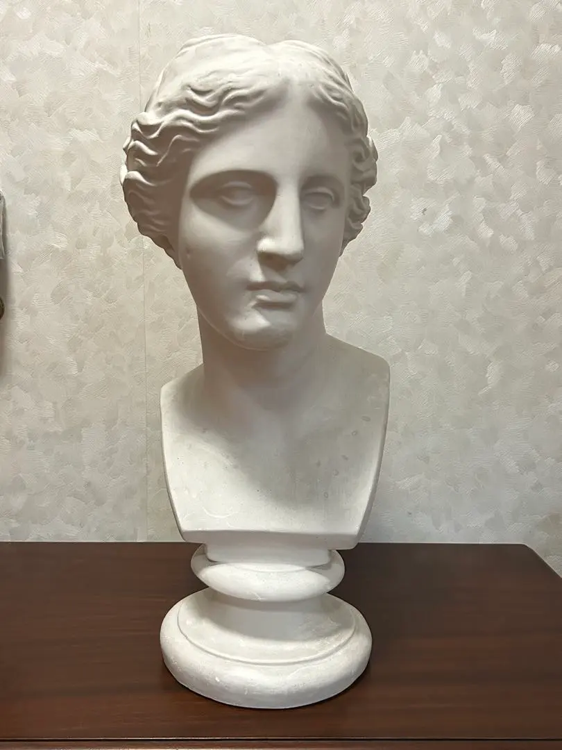 2026年最新】ミロのヴィーナス 石膏像の人気アイテム - メルカリ