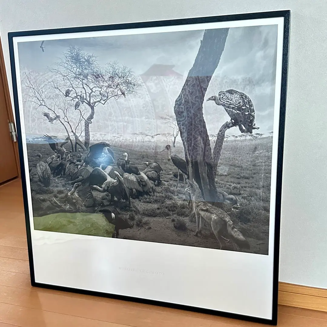 2026年最新】杉本博司ポスターの人気アイテム - メルカリ