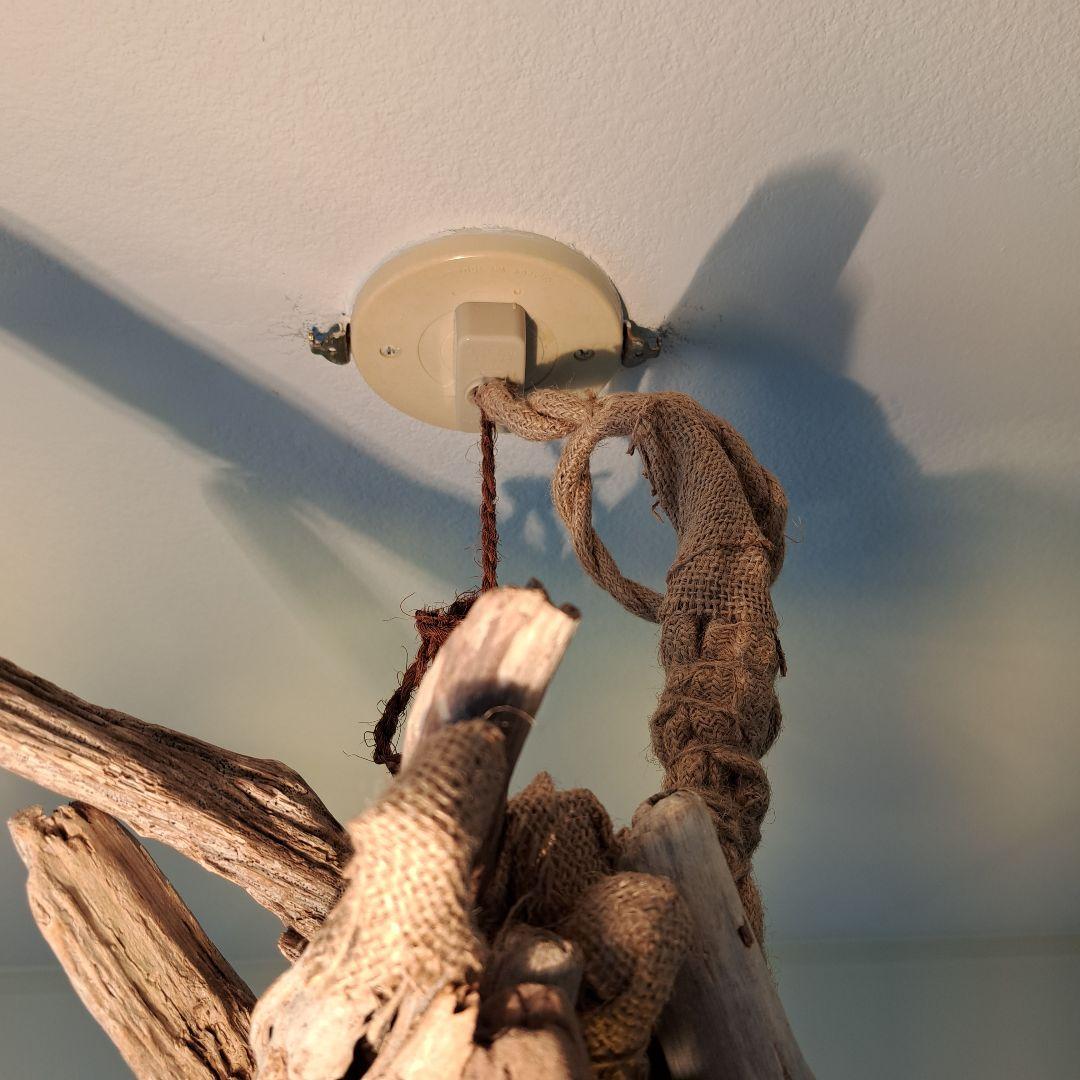 流木インテリア 6灯ペンダント エジソン球付 ヴィンテージソケット 6〜10帖