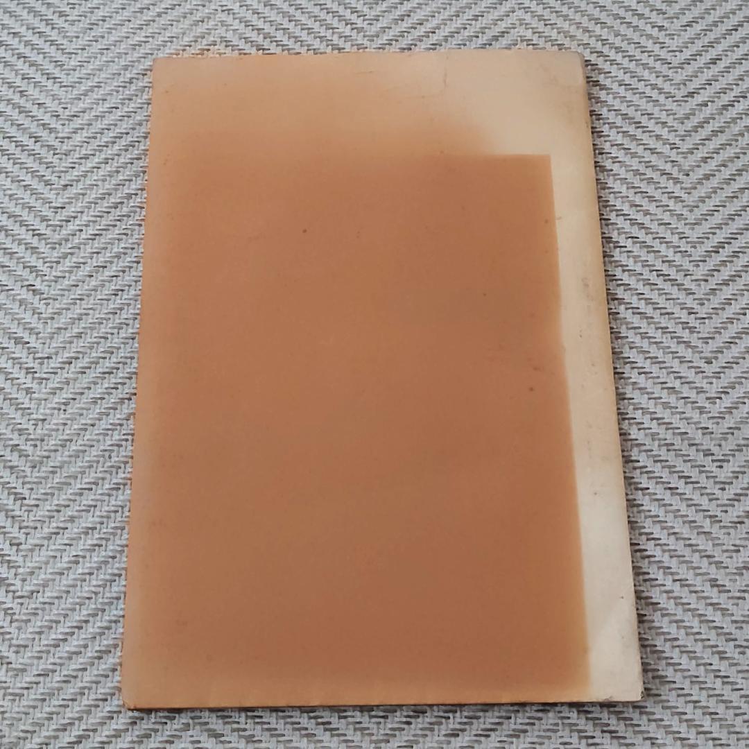 ノースフェイス 1982 秋/冬 カタログ 2枚組 THE NORTH FACE - メルカリ