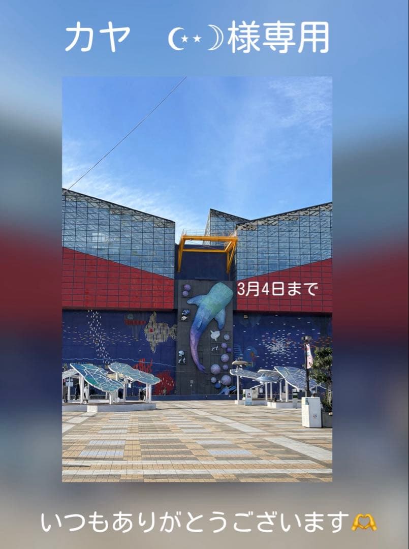 再販不可。大きめ♡桜ねこ☆レジンヘアゴムブローチ - メルカリ