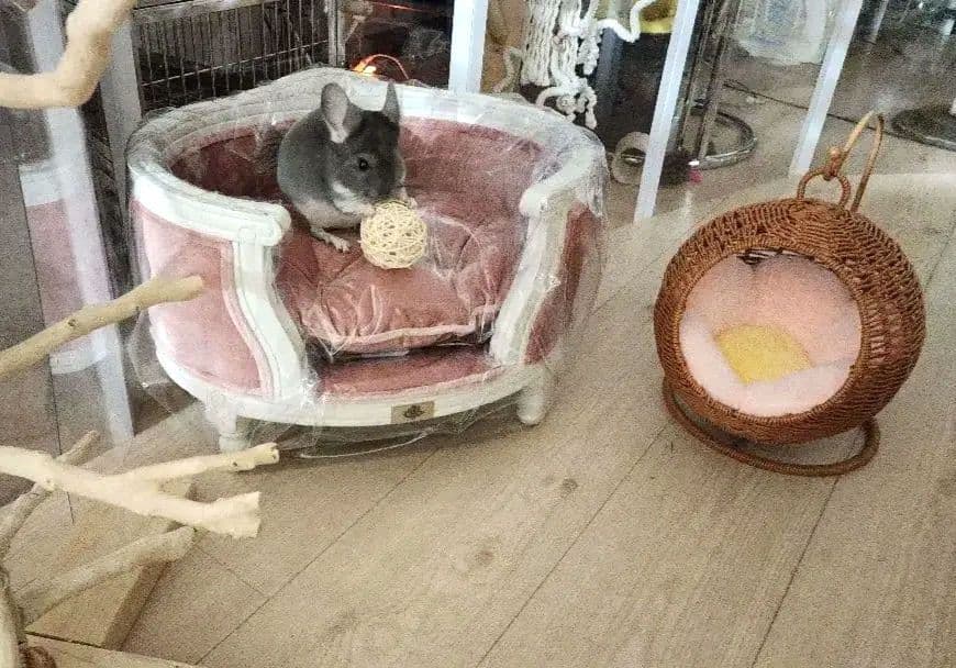 高級 フレンチ ロココ ミニ ソファー 飾り スーパードルフィー 子供