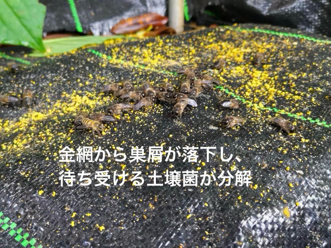 ニホンミツバチ重箱式巣箱4段 スライド底板 付巣門台座 スノコ付き