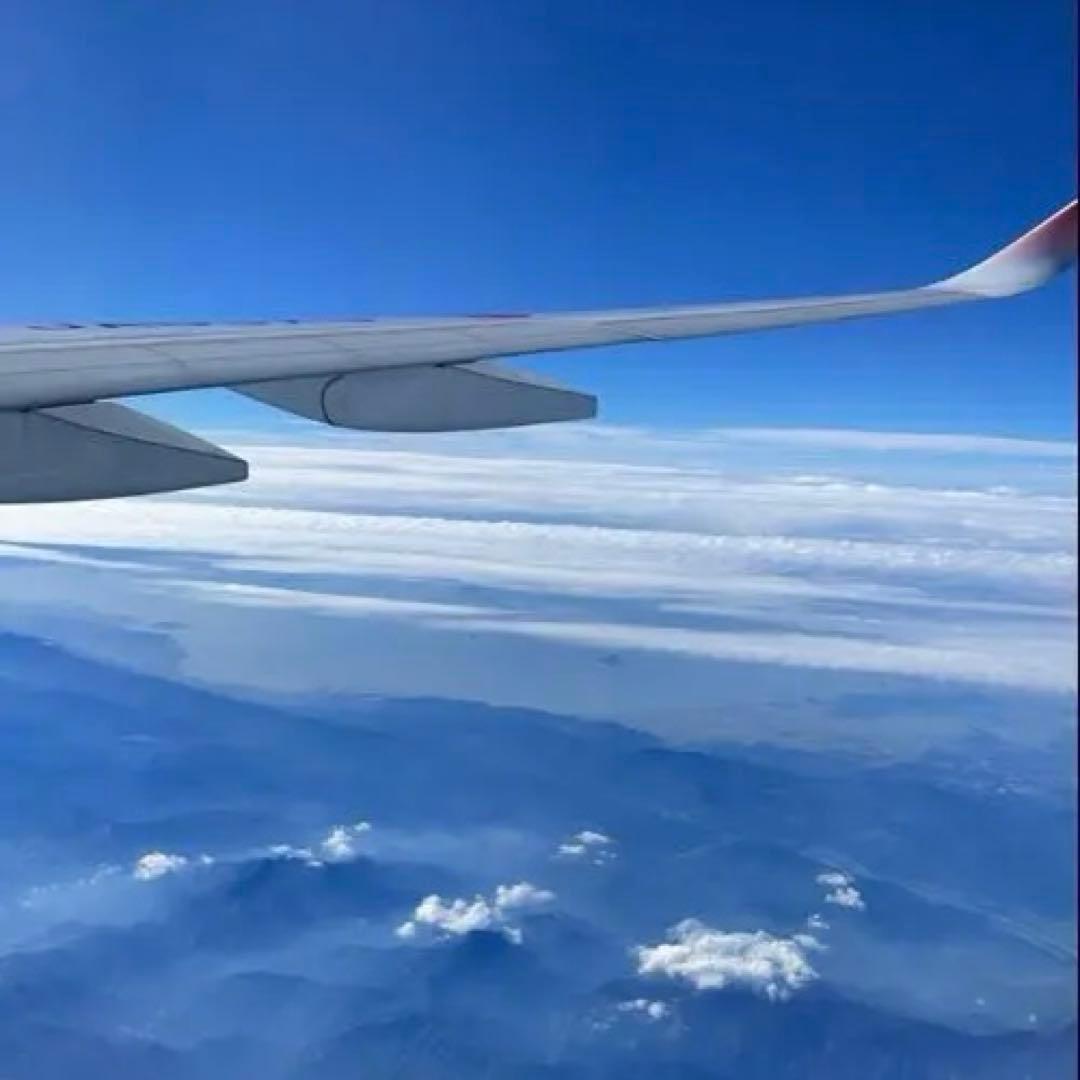 発送のお知らせ 🚚配送遅延のお知らせ – Aloha Top