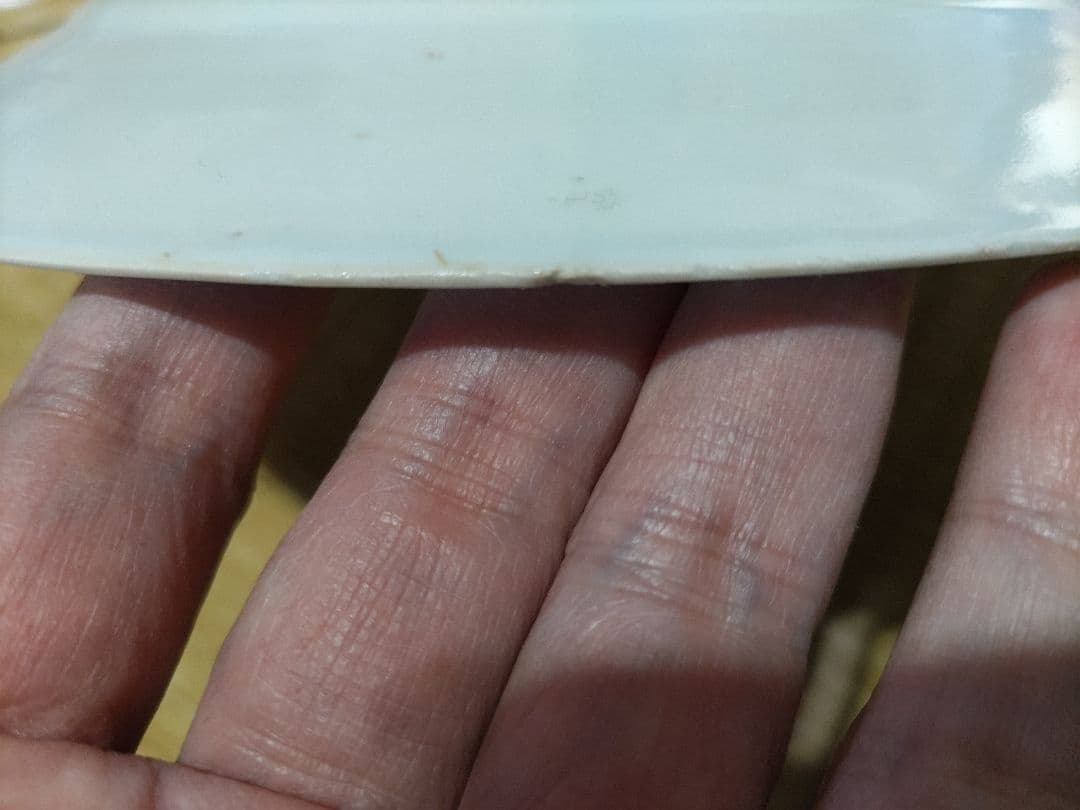 珍！ 新渡 チャイニーズ 8寸皿 伊万里・古染付・デルフト写し 中国製