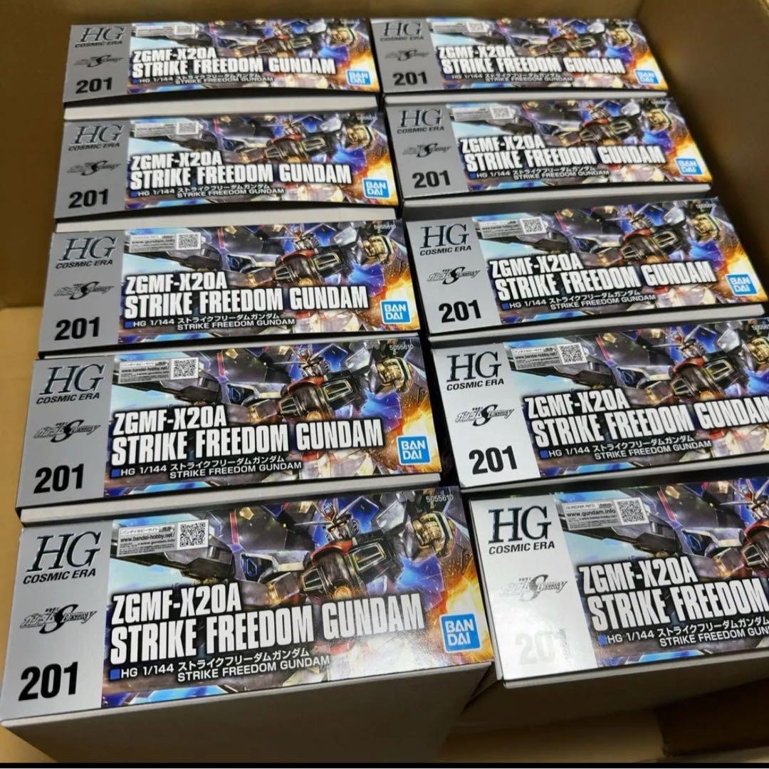 10個セット ZGMF-X20A ストライクフリーダムガンダム 1/144 バンダイ RG 1/144 ZGMF-X20A ストライクフリーダムガンダム 「機動