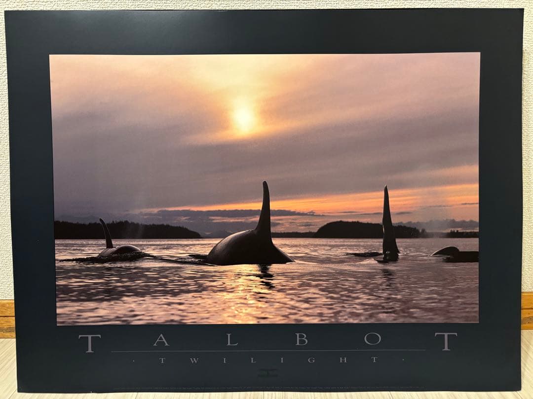 Bob Talbot 80s vintage poster 10種セット - メルカリ