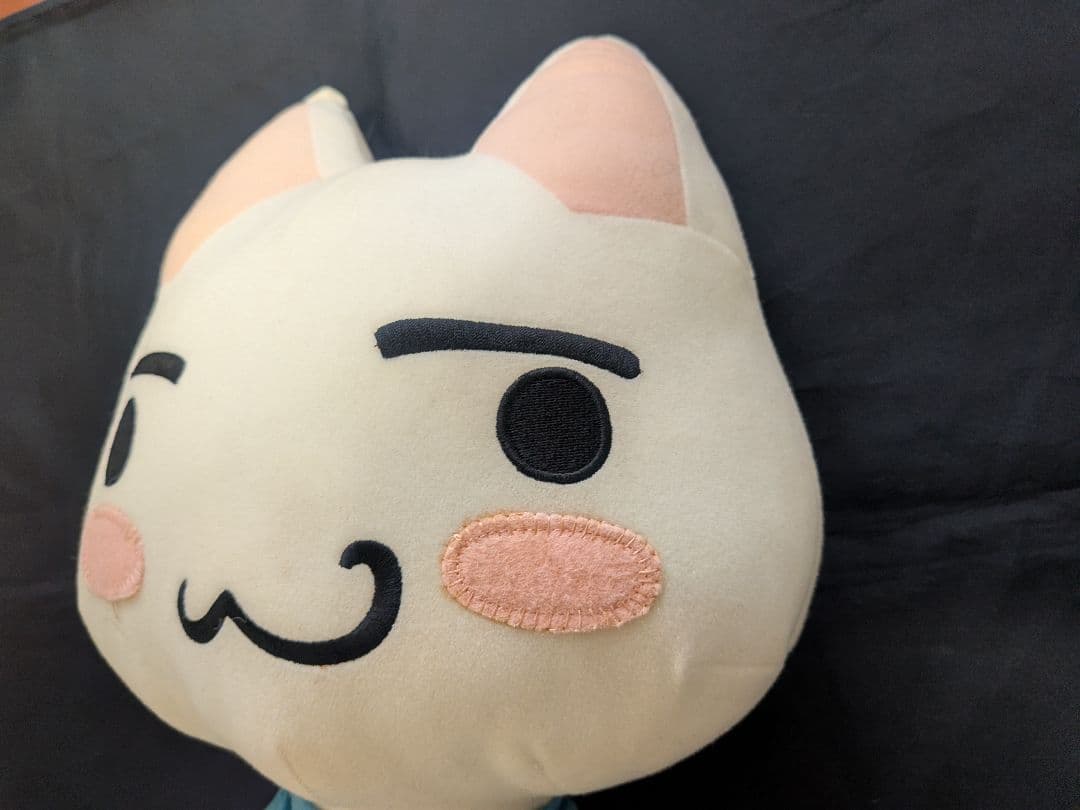 どこでもいっしょ 「トロといっぱい」 超でっかいぬいぐるみ〜トロと