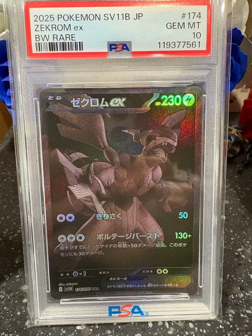 ポケモンカード　ゼクロムex bwr psa10 PSA10】ゼクロムex BWR 174/086 1枚の通販 magi公式アカウント