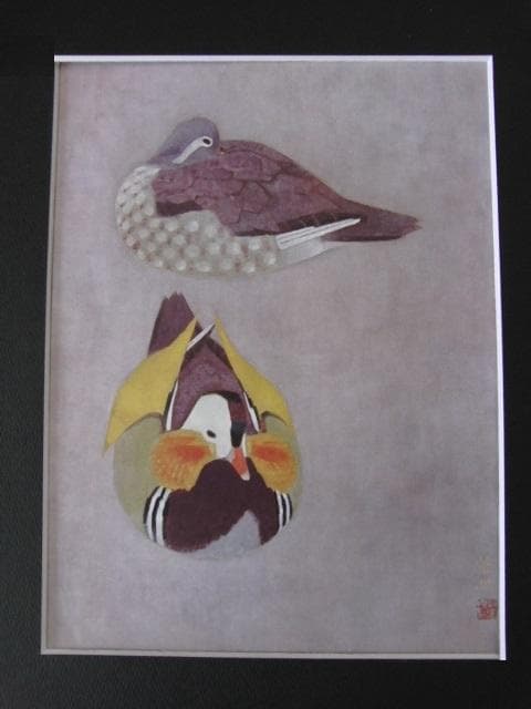 山口華楊、【鴛鴦】、希少な大判額装用画集より、新品高級額装付、豪華限定版 山口華楊、【鴛鴦】、希少な大判額装用画集より、豪華限定版、新品額装
