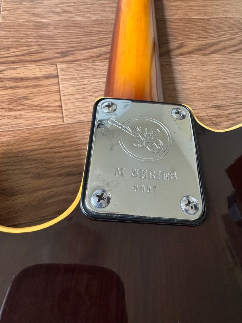 Valley Arts m Series Deluxe TLタイプ - メルカリ