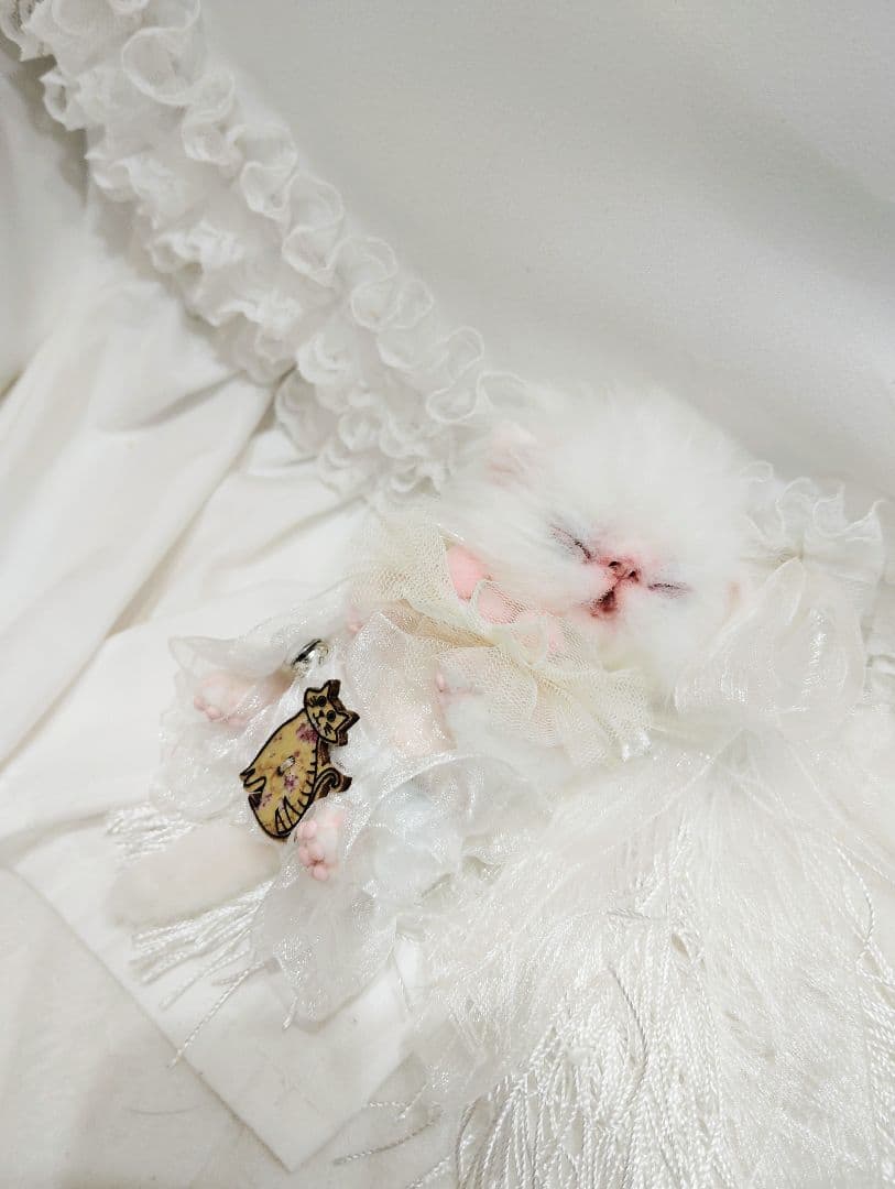 ぶーにゃんちゃん御予約❤子猫ちゃん❤ 子猫ちゃん♥️🐱 子猫は自分で排泄することができないので、母猫が